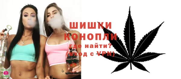 PSILOCYBIN Покачи