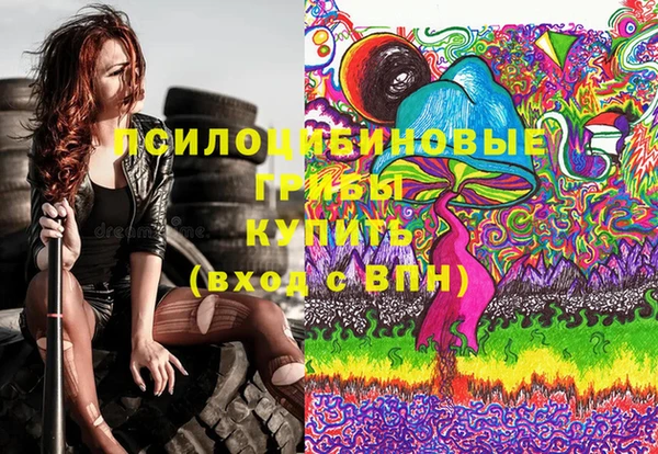 ГАЛЛЮЦИНОГЕННЫЕ ГРИБЫ Беломорск